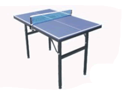 Table Tennis Table "RADAK Mini" Heavy Duty Construction