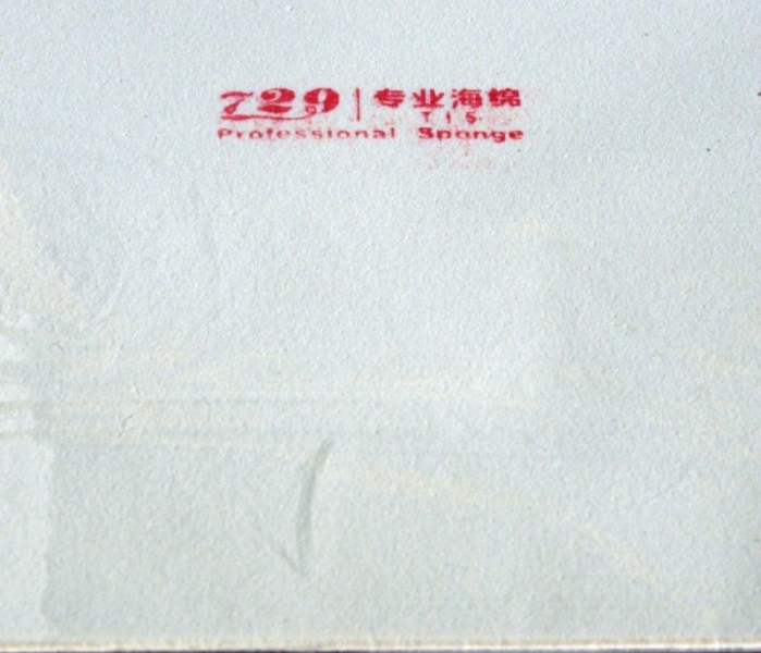 729 GTW White Sponge