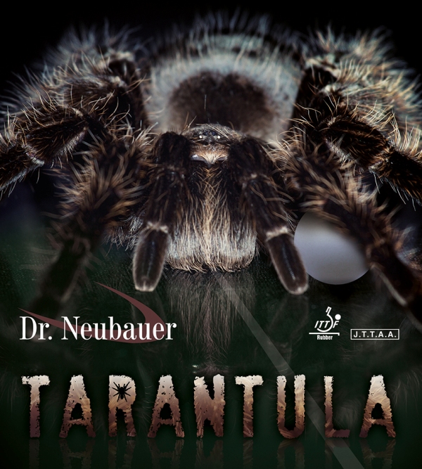 Dr Neubauer Tarantula,  Anti