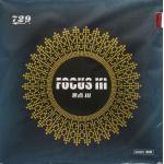 729 Focus 3