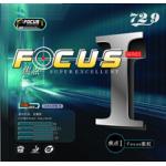 729 Focus 1
