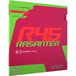 andro Rasanter R45