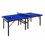 Table Tennis Table "RADAK Mini" Heavy Duty Construction