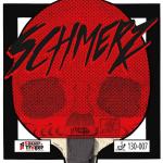 Sauer & Troger Schmerz