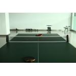 Retractable Table Tennis Net - Great for dining tables etc