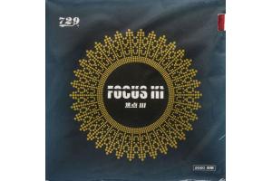 729 Focus 3