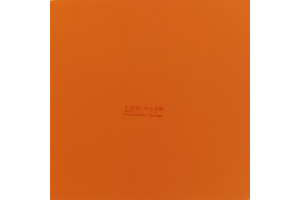 729 ZHO Orange Sponge