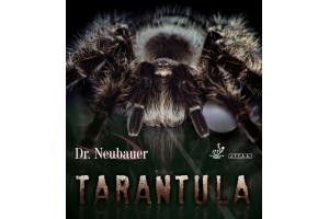 Dr Neubauer Tarantula,  Anti